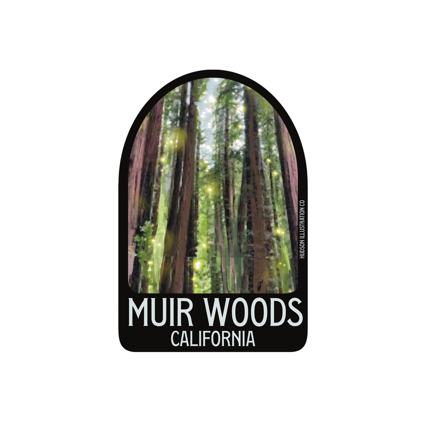 Muir Woods California Sticker/Magnet/Print/Postcard